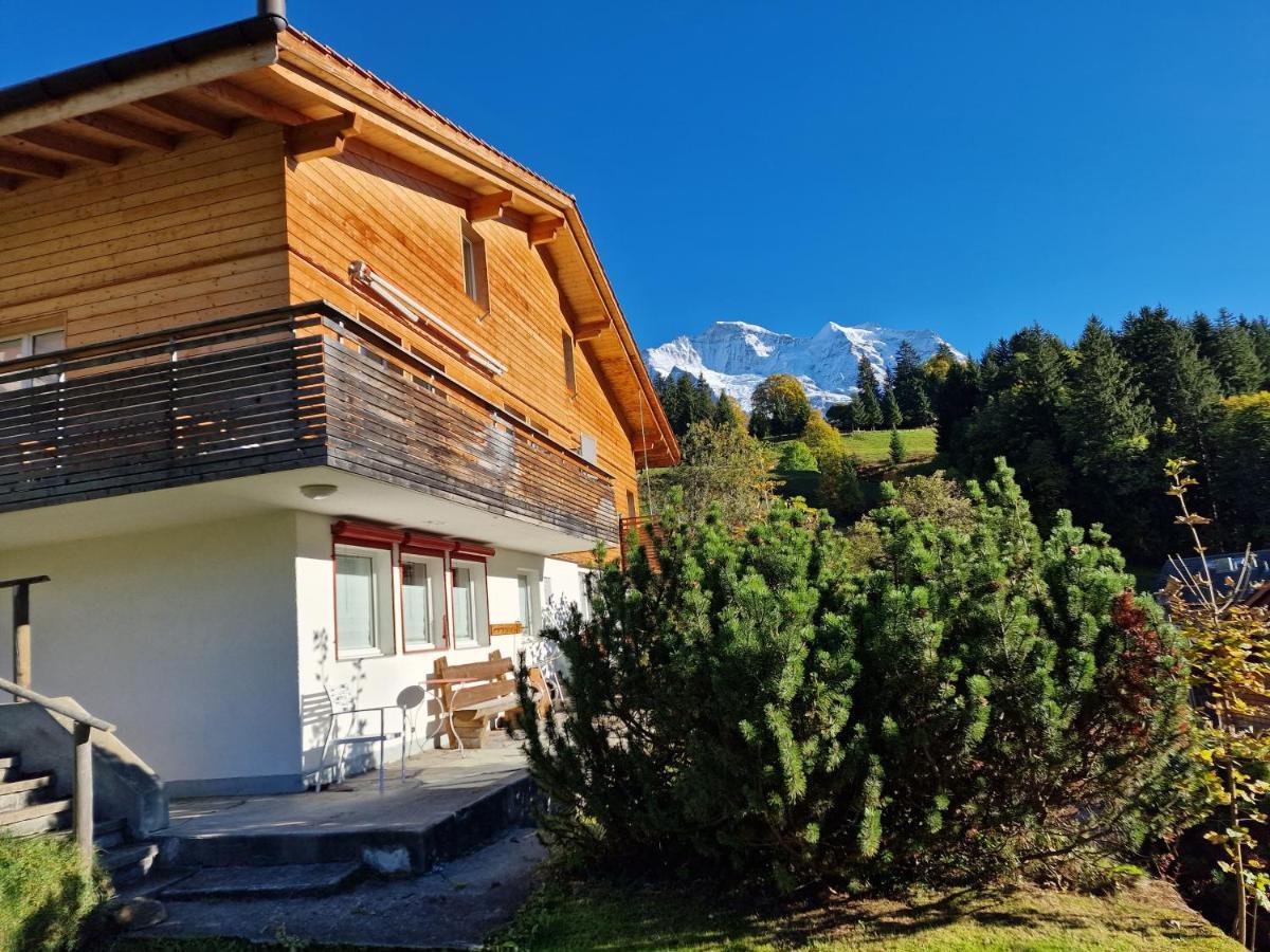 Chalet Viola - Verena'S Loft Венген Экстерьер фото