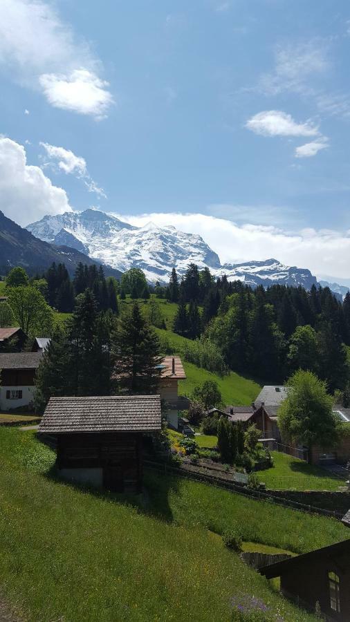 Chalet Viola - Verena'S Loft Венген Экстерьер фото